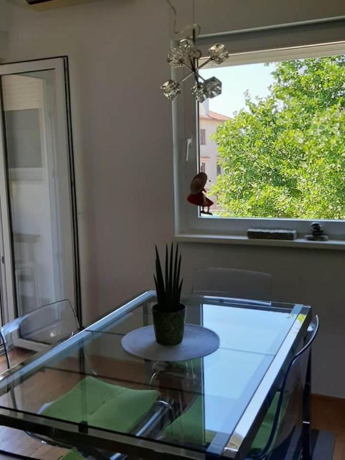 Modern In The Heart Of Vivano Noel Apartment